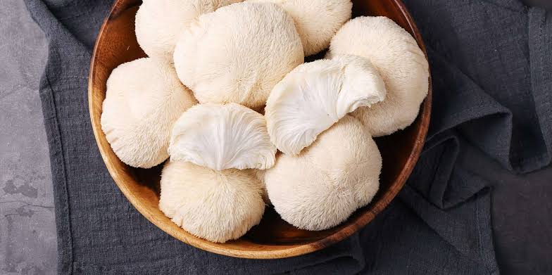 Lion’s Mane Mushroom is a true brain superfood