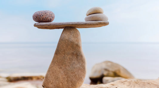 Balanced stones on a driftwood plank by the ocean, symbolising inflammation balance, natural recovery, and the restorative role of systemic enzymes as discussed in Swan & Mantis’ “Systemic Enzymes: The Unsung Heroes of Everyday Healing."