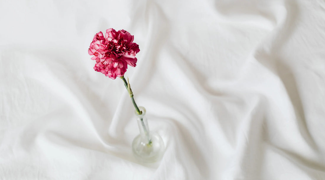 Single pink carnation in a glass bottle resting on soft white fabric, symbolising calm nourishment, gentle wellness, and the soft strength philosophy explored in Swan & Mantis’ adaptogen and calm nutrition blog.