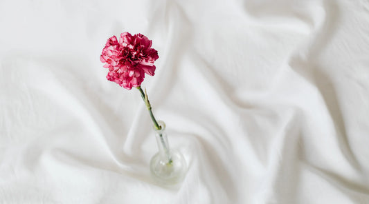 Single pink carnation in a glass bottle resting on soft white fabric, symbolising calm nourishment, gentle wellness, and the soft strength philosophy explored in Swan & Mantis’ adaptogen and calm nutrition blog.