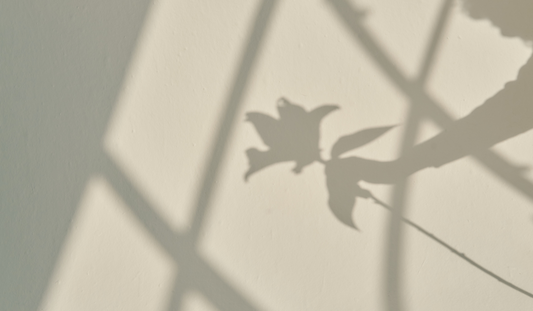 Mindful Living: The Power of Pausing and Practising Presence