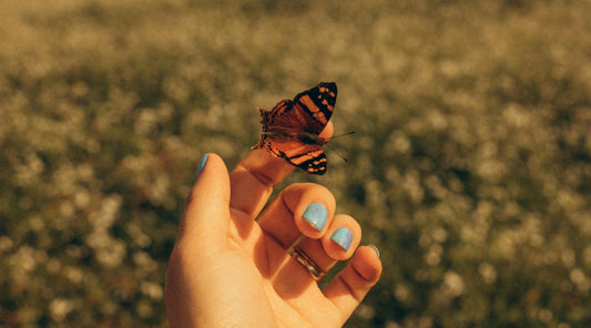 Butterfly resting on a person’s hand outdoors, symbolising calm, mindfulness, transformation and everyday wellbeing.